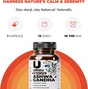 UMZU Ashwagandha Advanced Stress & Cortisol Support Supplement, Memory, Focus, Cognition, 24-Hour Extended Release (30 Day Supply | 30 Capsules) 6