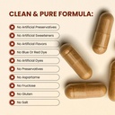 CHOQ® Shilajit - Over 50% Fulvic Acid, 500 mg Vegan Capsules, Energy, Brain, Focus, Collagen, Hormones, Mitochondrial Function, Urolithin A, Lab-Tested 4