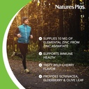 NaturesPlus Herbal Actives ImmunActin - 60 Zinc Lozenges, Pack of 2 - Wild Cherry Flavor - Supports Immune Health - with Echinacea, Elderberry & Olive Leaf - Gluten Free - 120 Total Servings 5