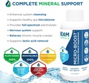 BEAM MINERALS Travel Pack | Electrolyte & Micronutrient Support On-The-Go | Micro-Boost, Electrolyze, and Insta-Lytes 2 fl Oz 4