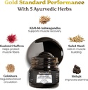 Better Alt Pure Himalayan Shilajit Gold+(30gm)|Enhances Recovery & Boosts Strength|16,000 ft Sourced Blend with Ashwagandha, Safed Musli,Gokshura|Shilajit gold for men & women|Vegan & Lab Tested-600mg 4