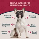 Animal Essentials Breathe EZ for Dogs & Cats - Pet Respiratory Support Supplement, Clear & Easy Breathing, Healthy Respiration, Herbal Formula - 2 Fl Oz 3