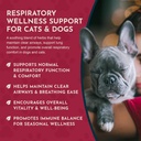 Animal Essentials Breathe EZ for Dogs & Cats - Pet Respiratory Support Supplement, Clear & Easy Breathing, Healthy Respiration, Herbal Formula - 2 Fl Oz 6