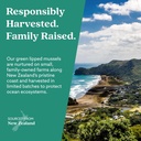 GLX3 Joint Support Extra Strength Omega-3 Supplement | Premium New Zealand Green Lipped Mussel Oil - Comfort, Flexibility, Muscle Recovery - ETA EPA DHA Omega 3 Capsules 2 Month 6