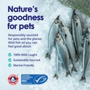 Liquid Fish Oil for Dogs with Omega 3, 6 & 9 Fatty Acids, Wild Caught from Iceland, Skin and Coat Supplement for Shedding, Itchy Skin, Allergies, Brain and Heart Health, Rich in EPA + DHA - 12 oz 5