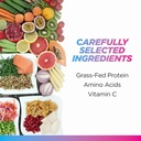 Livingood Daily Vanilla Collagen Powder for Women & Men, Hydrolyzed Collagen Peptides Powder with Vitamin C, Protein with 20 Amino Acids, Type I & III, Grass Fed, Keto, Paleo, Gluten Free, 30 Srvgs 4