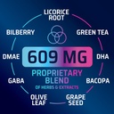 Brain Memory Supplement Pills - 3X Strength Nootropics for Concentration, Clarity & Focus Support - Brain Health Cognitive Vitamins with Bacopa, Phosphatidylserine & DMAE, Brain Booster - 60 Capsules 6