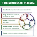 Bio35 / 300 sg Original Now Gluten Free 4