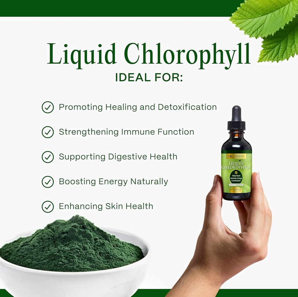 Go Nutrients Liquid Chlorophyll Drops – Organic Mulberry Leaf Extract with Copper – Natural Detox & Internal Deodorant for Women, Men & Kids – Non-GMO, Vegan, Mint Flavor, 2 oz Glass Bottle 4