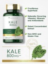Carlyle Kale Extract 800mg | 120 Capsules | Non-GMO and Gluten Free 4