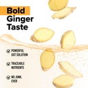 Complement Gut Nurture Prebiotic + Postbiotic Superfood Powder for Leaky Gut Repair, Probiotics for Digestive Health - Ginger Root - 30 Servings 5