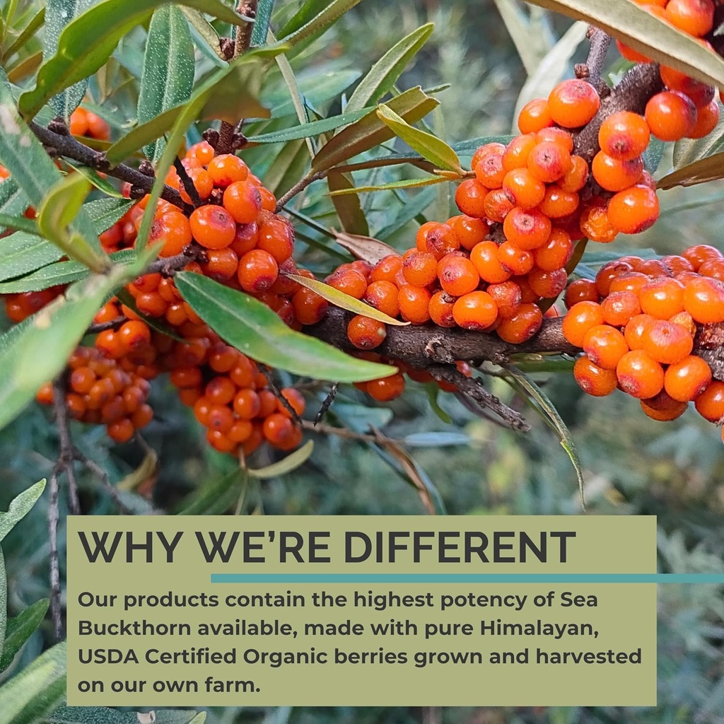 SeabuckWonders Sea Buckthorn Seed Oil,100% Certified Organic, 1 FL OZ 6