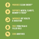 MCT Oil Organic - C10 C8 MCT Oil for Sustained Mental Energy & Focus Support - MCT Oil Organic For Coffee, Smoothies, & More - Palm Free Vegan Keto & Paleo Friendly 16 Fl Oz - Non-GMO - Aceite De Coco 5