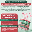 Akkermansia Probiotics Gummies with Prebiotics Fiber, 300 Billion AFU Akkermansia Muciniphila, with Polyphenol Fruits, Resistant Starch, Vitamin A D3 B2 for Metabolism, Digestive & Gut Health, 1Pack 4