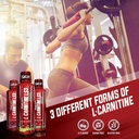 iSatori L-Carnitine LS3 Lemon Lime 3000mg (32 Servings) & iSatori Ultra CLA (90 Softgels) 3