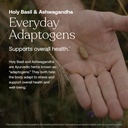 True Grace Men's 40+ One Daily Multivitamin Fermented Minerals, Organic Adaptogens & Mushrooms Whole Body Balance Immune, Endurance, Bone & Heart Support Supplement - Non-GMO - 90 Vegetarian Tablets 6