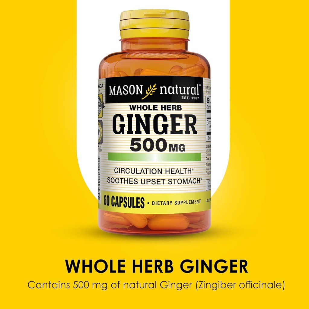 MASON NATURAL Whole Herb Ginger 500 mg, 6 Month Supply, Natural Herbal Supplement, 60 Capsules (3 Pack) 5