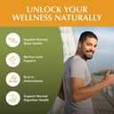 Jiva Botanicals Cissus Quadrangularis Capsules 550 mg - High Potency Cissus Powder Extract for Normal Bone Health & Normal Joint Support - 120 Capsules (Pack of 1) 3