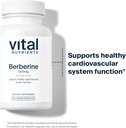 Vital Nutrients Berberine |Supports Bowel Function and Normal Triglyceride Levels |Vegan Supplement| Gluten, Dairy, and Soy Free |500 mg |60 Capsule 6