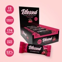 Blessed Vegan Protein Bars - Plant Based Protein Bars Low Calorie High Protein Meal Replacement Bar - Dairy Free, Nutritious Vegan Snacks - 12 Pack Chocolate Raspberry 6