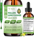 Mullein Drops for Lungs with Licorice, Marshmallow Root, Chlorophyll, 4 FL.OZ Sugar Free Mullein Drops for Lung Detox, Respiratory & Immune Wellness, Lung & Bronchial Cleanse for Smokers, No Alcohol 2
