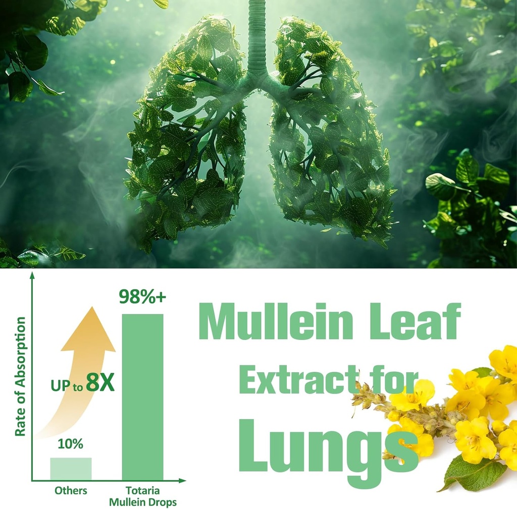 Mullein Drops for Lungs with Licorice, Marshmallow Root, Chlorophyll, 4 FL.OZ Sugar Free Mullein Drops for Lung Detox, Respiratory & Immune Wellness, Lung & Bronchial Cleanse for Smokers, No Alcohol 6
