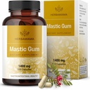 HERBAMAMA Mastic Gum Capsules 1400mg - Gut & Digestive Support with Mastic Gum Supplement - Vegan, Non-GMO Resin Digestion Capsules 2