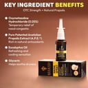 BEE and You Propolis Nasal Spray, 100% Pure Propolis Extract, Sinus & Congestion Relief, Natural Decongestant, Allergy Support, Nasal Moisturizing Spray | 1 fl oz 5