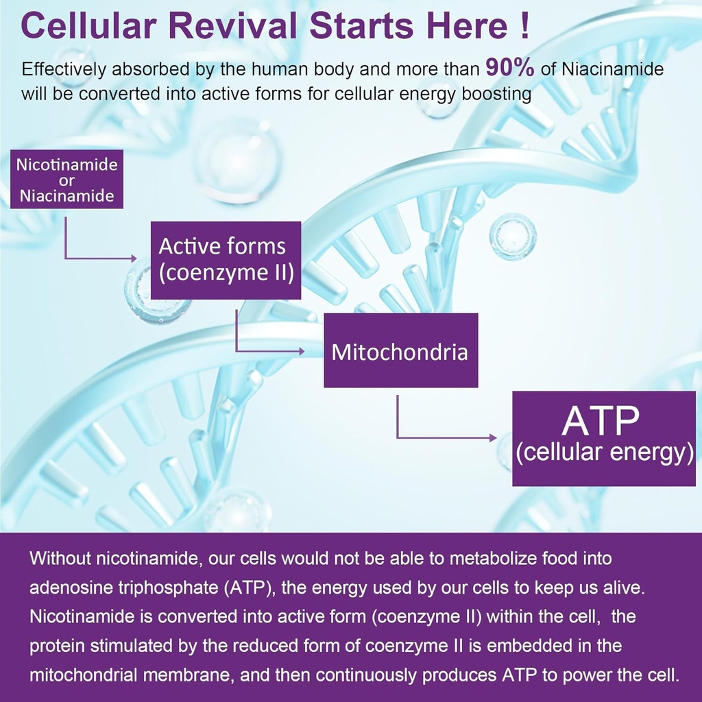 NEVISS Vegan Iron Supplement, Gentl Iron + Sugar Free Nicotinamide 500mg Gummies 6