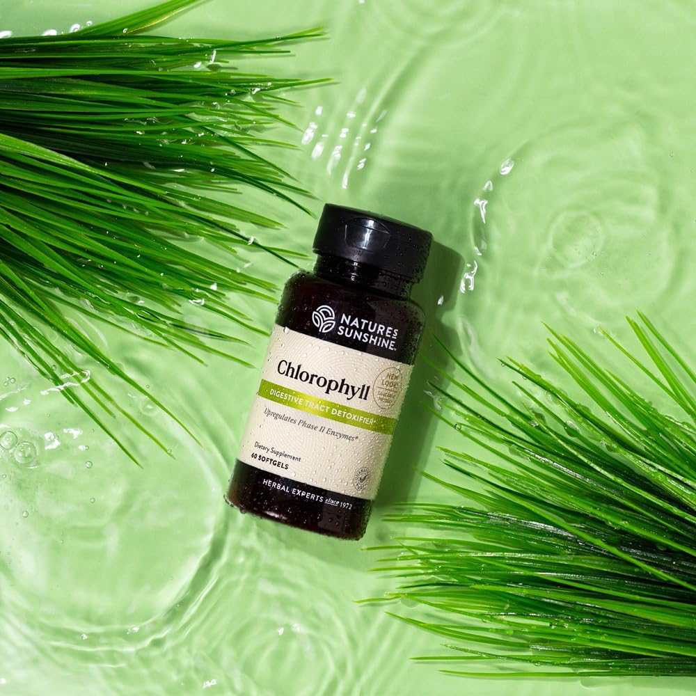 Nature's Sunshine Chlorophyll, 60 Softgel Capsules: Support Digestion, Immunity & Detoxification with Internal Deodorant Benefits. Easy-to-Swallow Capsules Promote Overall Well-Being & Energy 3