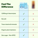 Feel Goods Hydration Hero, 1,000mg Electrolytes Powder, Sugar Free, Magnesium, Organic Aloe Vera, L Theanine, Vitamin C & B12, Keto, Vegan, Electrolyte Packets, Blue Raspberry, 15 Count 4