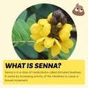 Senna Liquid Sennosides Senna Laxative by Llorens Care 8.8 mg. 5 mL. Made from Natural Sennosides. Liquid Laxative Alleviate Constipation & Provide Relief. Senna Syrup 6