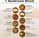 powdervitamin-organic-mushroom-coffee-ce-3.jpg