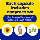 Enzymedica, Allerase, Non-Drowsy Enzyme Supplement to Help Relieve Seasonal Mucus Buildup, 60 Count 6