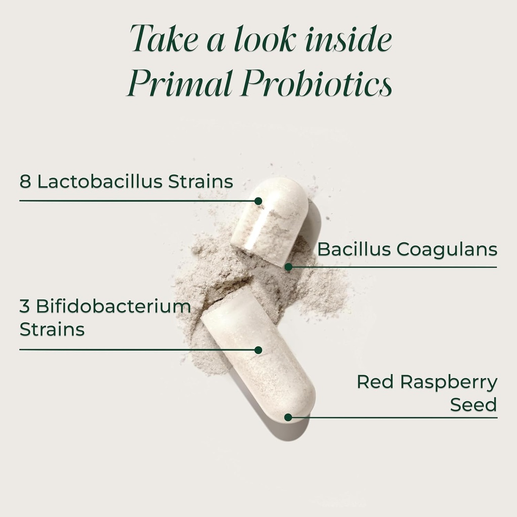 Primal Harvest Probiotics for Women and Men Shelf-Stable with Prebiotics Daily Supplement for Adults 60 Capsules (2 Pack) 4