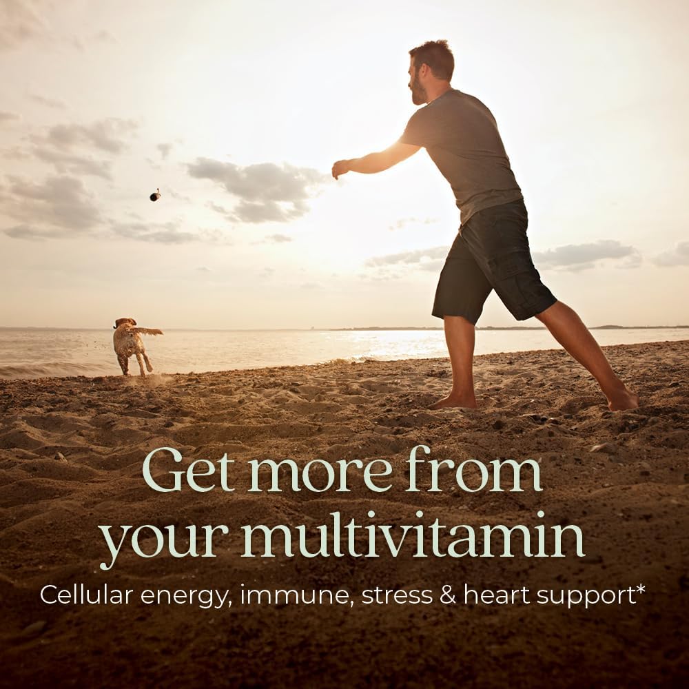 New Chapter Men's Multivitamin for Immune, Stress, Heart + Energy Support with Fermented Nutrients - Every Man's One Daily, Made with Organic Vegetables & Herbs, Non-GMO, Gluten Free - 48 ct 3