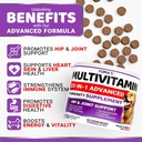 2-Pack Dog Multivitamin Chewable with Glucosamine - Dog Vitamins and Supplements - Senior & Puppy Multivitamin for Dogs - Hip & Joint Support - Immune Health, Skin, Heart, Digestion, Probiotics 3