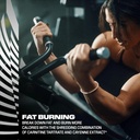 Cellucor C4 Ripped Sport Pre Workout Powder - NSF Certified for Sport - 200mg Caffeine + Cayenne Extract + Carnitine Tartrate + Beta-Alanine - Hawaiian Pineapple, 20 Servings 6