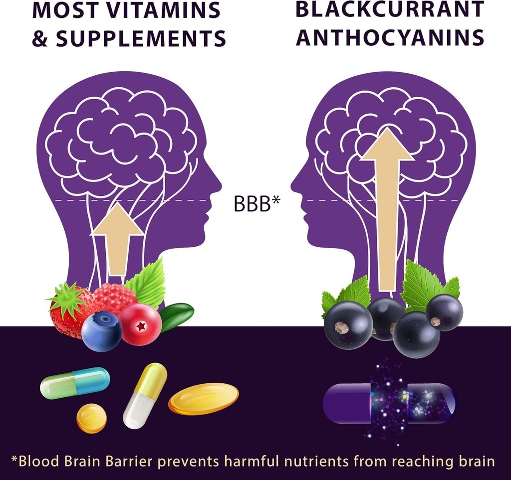Vision Smart Supreme - Superior Eye Supplement, Premium Nutraceutical Ingredients with 210mg of Pure Anthocyanins of D3R and C3R, Veggie Capsules. Product of USA (12 Bottles) 6