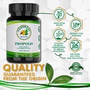 Propolis Health Propolis Capsules 1000mg-Daily with Vitamin E Per dose - Pure Brazilian Green Propolis Extract - Immune Booster 50 Days Supply -100 Capsules 4