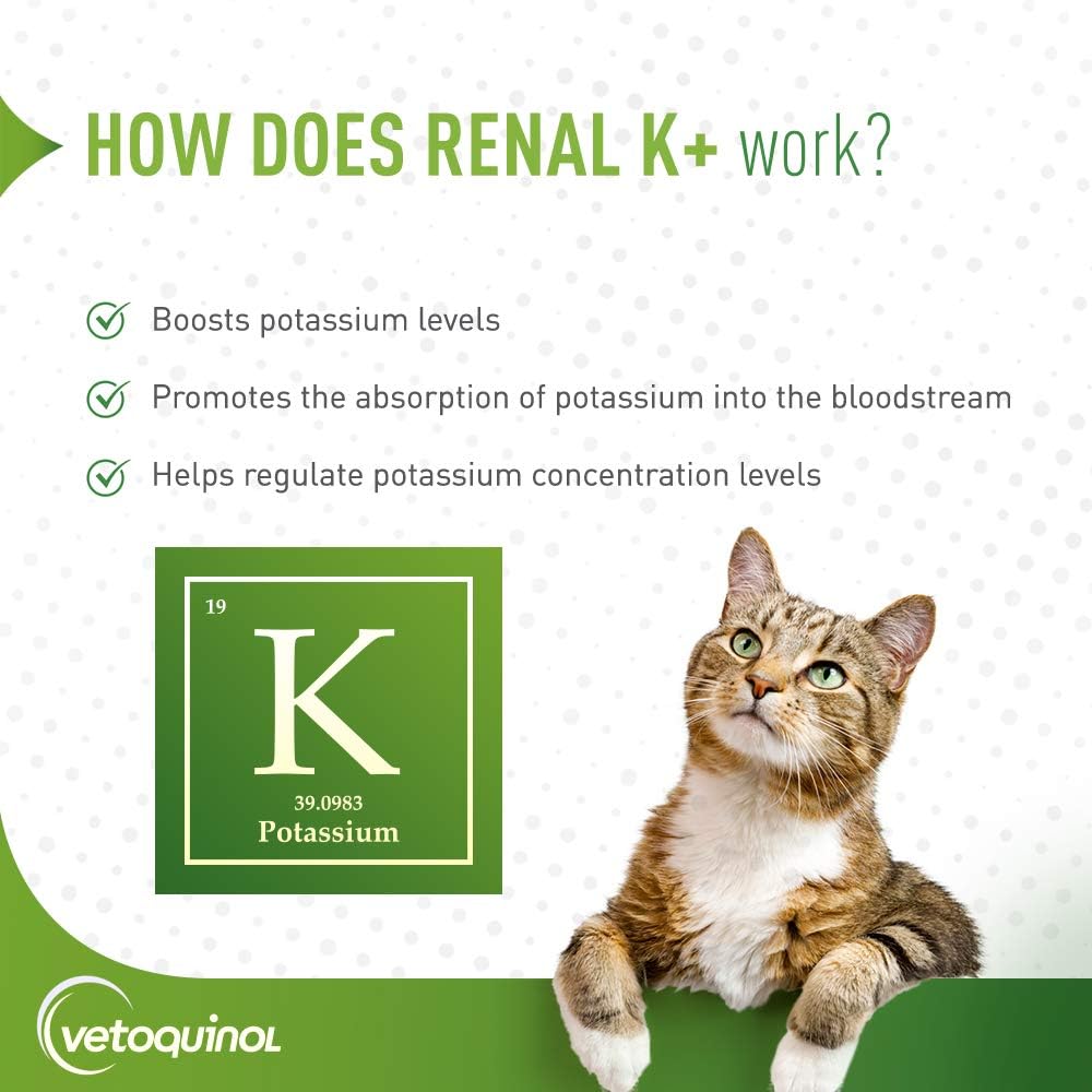 Vetoquinol Renal K+ (Potassium Gluconate) Potassium Supplement Powder for Dogs and Cats, 3.5oz 4