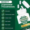 1200MG Vitamin E Tocotrienols Liposomal Tocotrienols Supplement with Phosphatidylcholine, 95% Delta-tocotrienols and 5% Gamma-tocotrienols, High Absorption for Heart, Brain Function 120 Capsules 5