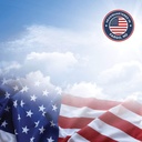 Swanson Premium Brand Royal Jelly - Maximum Strength 333.33 mg 100 Sgels 2 Pack 4