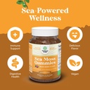 Natures Craft Irish Sea Moss Gummies for Women Men & Kids - Immune Support Supplement with Irish Sea Moss, Bladderwrack & Burdock Root - Detox Gummies for Body Cleanse - 90 Chewable Gums 6