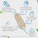 Teaveli Cognizin Citicoline- 500mg CDP Choline Capsules- Clinically Studied Brain Supplement to Support Clarity, Concentration and Memory – Most Bioavailable Form of Choline Supplements - 30 Servings 4