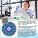 Immune Perfecto - Atomic Particle Trace Minerals of Colloidal Silver, Copper, and Zinc - Perfect on Demand Metabolic Support - 16 oz. (475 ml)… 3