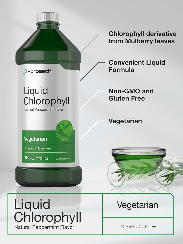 Horbäach Chlorophyll Liquid Drops | 100mg | 32 oz (2 x 16 oz Bottles) | Natural Peppermint Flavor | Vegetarian, Non-GMO, Gluten Free Supplement 5
