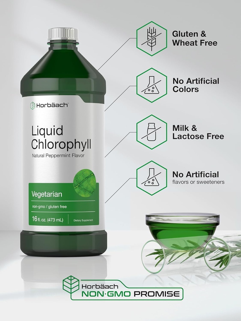 Horbäach Chlorophyll Liquid Drops | 100mg | 32 oz (2 x 16 oz Bottles) | Natural Peppermint Flavor | Vegetarian, Non-GMO, Gluten Free Supplement 6