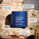 BodyHealth PerfectAmino Powder - BCAA and EAA Powder for Pre and Post Workout - Amino Acid Energy Drink for Men and Women to Support Lean Muscle and Recovery - Strawberry - 120 Servings 4