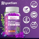 Sea Moss & Elderberry Gummies, Blueberry Flavored Gummy, Vitamins Sea Moss Supplements with Vitamin C + Zinc and Apple Cider Vinegar, Good Texture, Vegan-Friendly, 120 Count(Pack of 2) 5